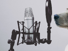 2018年優(yōu)秀音樂藝考培訓(xùn)機構(gòu)必備的特質(zhì)