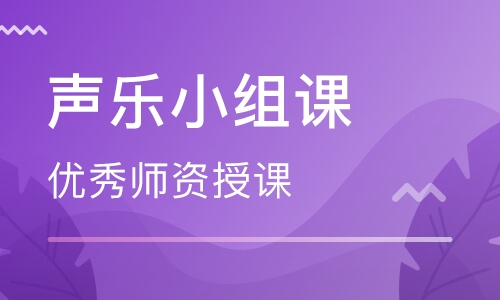 學(xué)聲樂一對一多少錢？