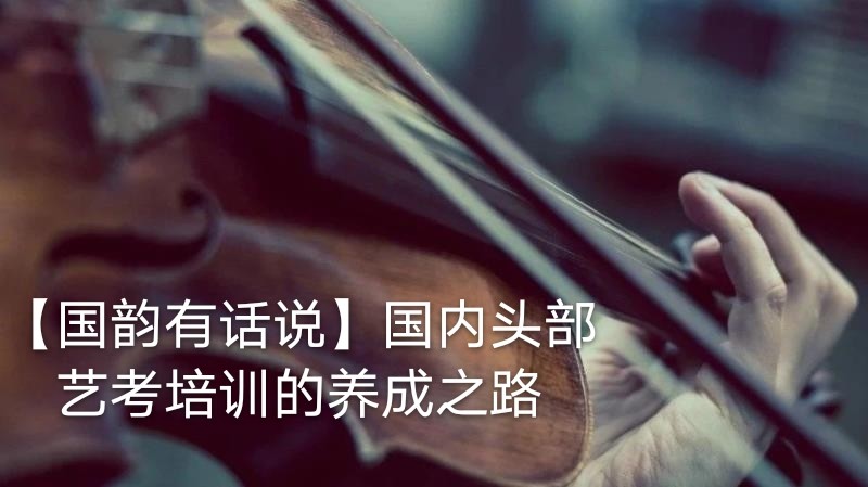 國內頭部藝考培訓的養成之路