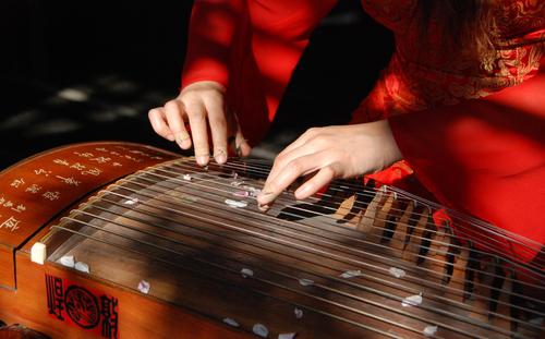 成都古筝培训机构哪家好?对比才清楚