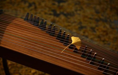 上海古筝培训班多少钱？