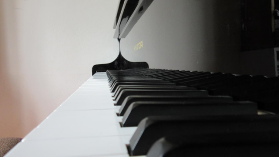 哈尔滨钢琴培训学校哪家好？