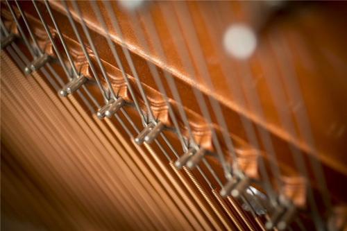 福州钢琴培训机构哪家好?家长如何选择？