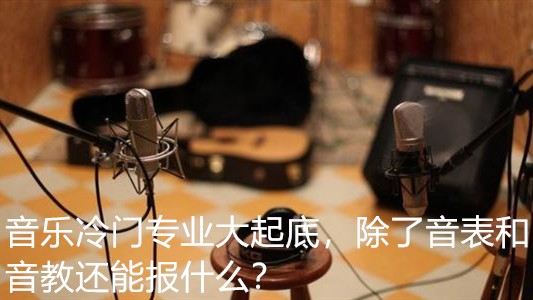 音乐冷门专业大起底，除了音表和音教还能报什么？