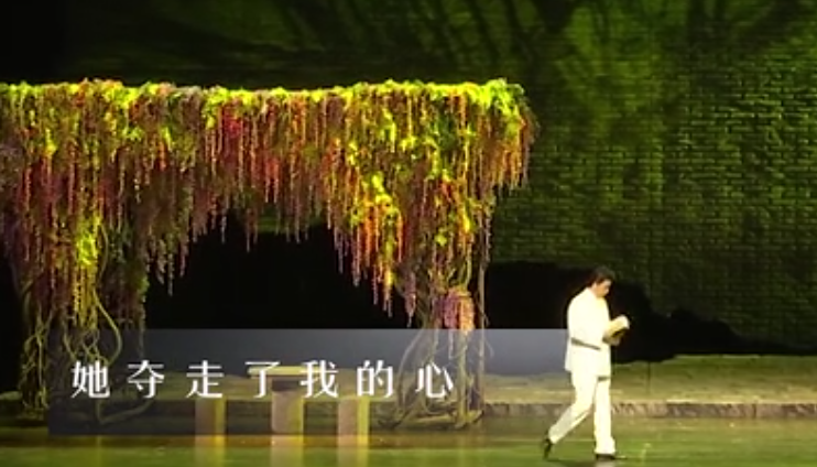 詠嘆調(diào)1《她奪走了我的心》 