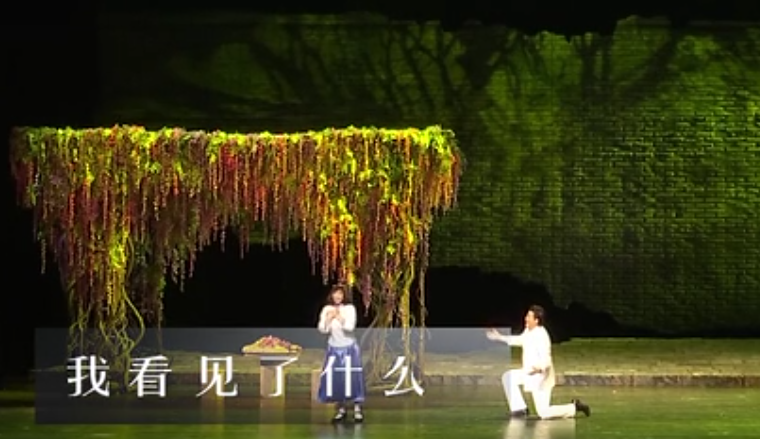 咏叹调3《我看见了什么》 