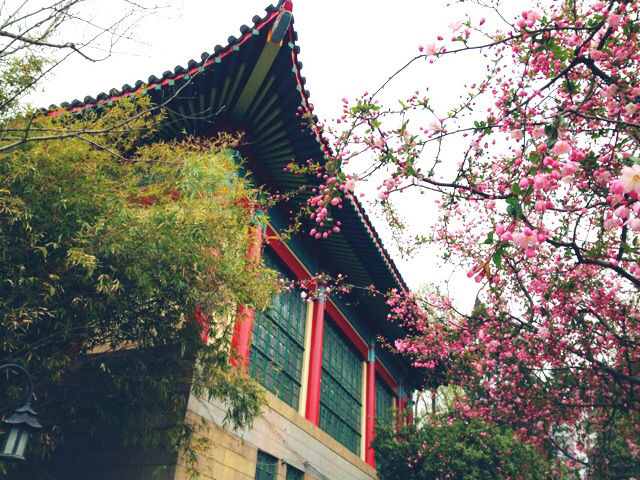 南京艺术学院2016年本科招生简章