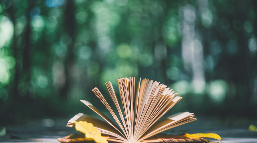 藝術(shù)培訓(xùn)—藝術(shù)學(xué)習(xí)選擇的重中之重.