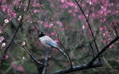 合適的藝考培訓機構就該這么選