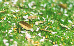 2018藝考考場(chǎng)中必須注意的呼吸技巧