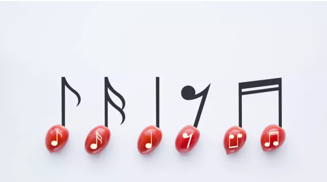 在声乐学习视唱训练中应注意以下几点：