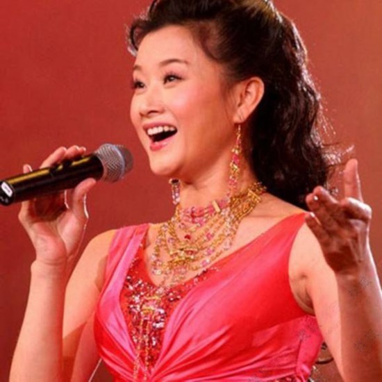 深度解析九大音樂(lè)學(xué)院聲樂(lè)專(zhuān)業(yè)招生要求