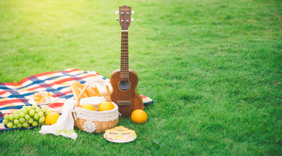 音樂培訓(xùn)學(xué)習(xí)內(nèi)容.