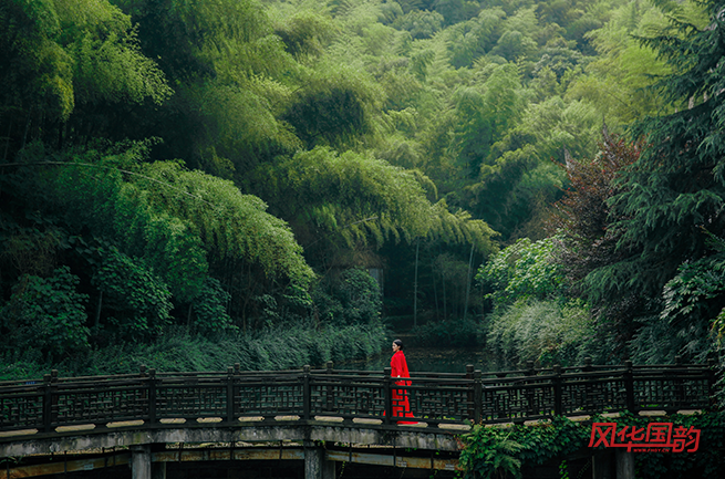 什么是农村专项计划？农村专项计划的利与弊