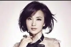 陈好成为继赵薇之后又一重返校园攻读艺术硕士的一线女星