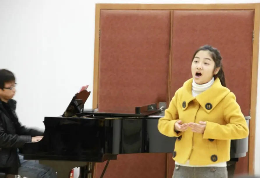 如何表达音乐作品的内在情感