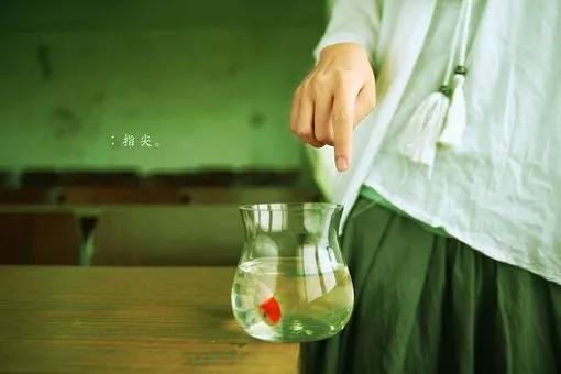 演唱中作品风格的把握