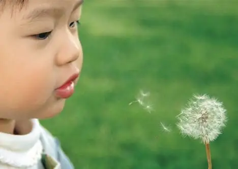 在大自然中培养孩子的美育