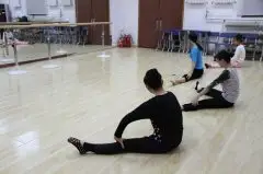 关于北京市“高考艺术特长生”招生政策解读