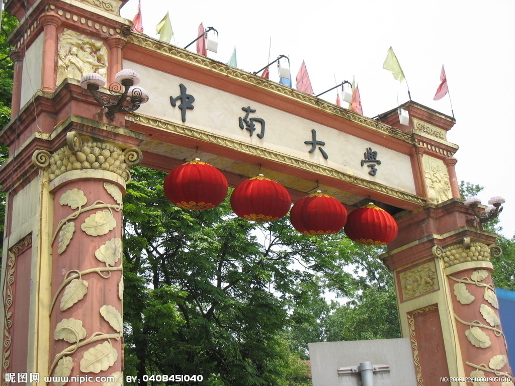 中南大学2011年艺术特长生招生简章