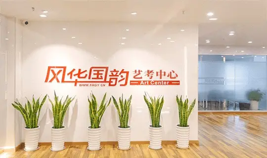 武汉音乐校考冲刺班/学校哪个好
