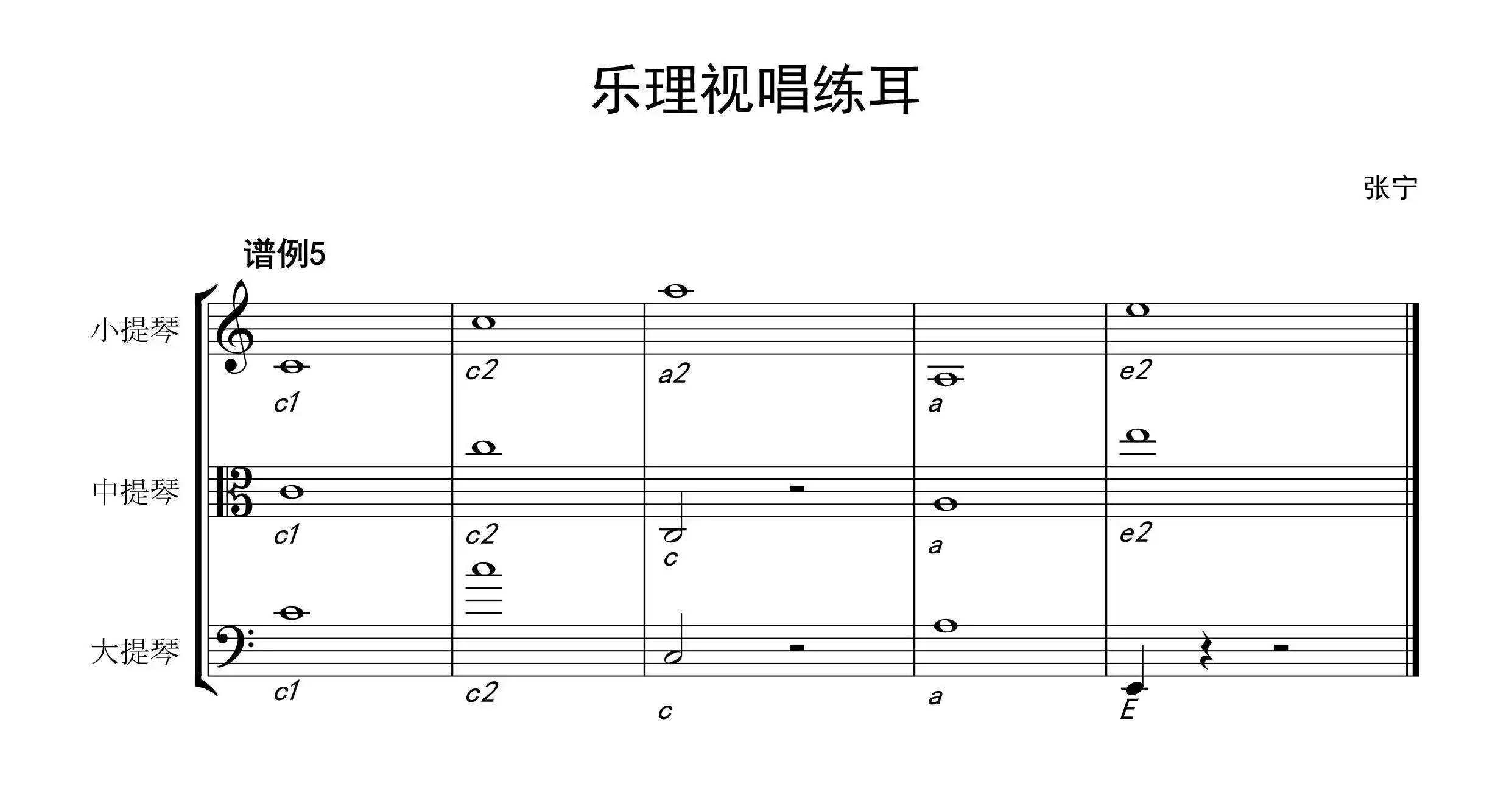 視唱練耳是什么意思？