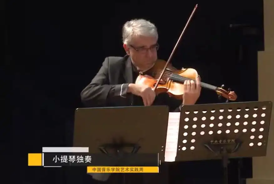 器乐 小提琴独奏