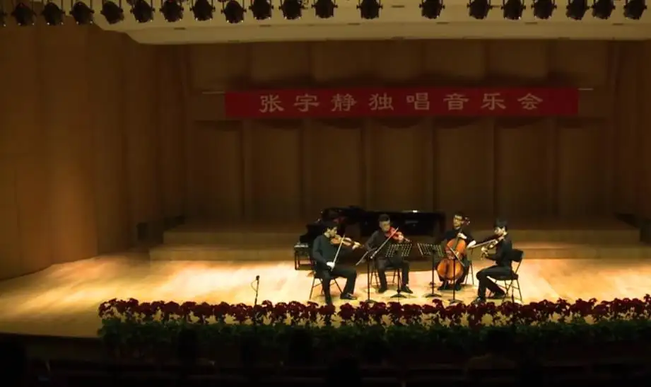 器乐 G大调小夜曲 