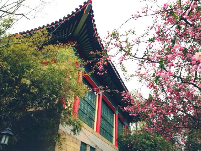 2010届艺考进入专业考试三试光荣榜