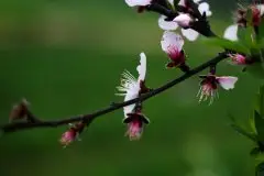 2018艺考生该怎么正确的学习声乐