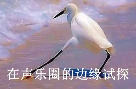 学习声乐需不需要每天练声？