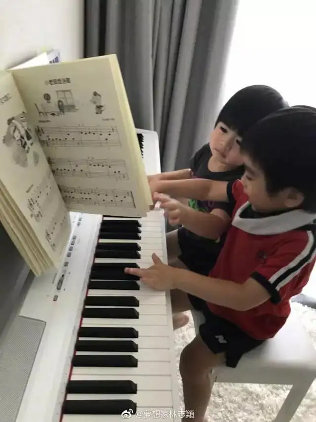 音乐艺考考学项目有多少？