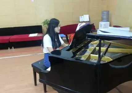 什么材质的吉他好？