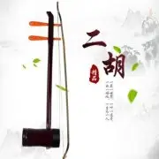 二胡好学吗