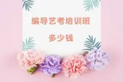 西安编导培训_编导艺考培训班多少钱